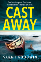 book cover for Cast Away