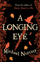 book cover for A Longing Eye
