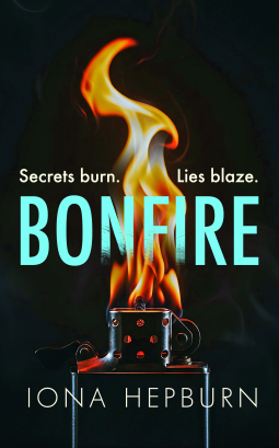 book cover for Bonfire