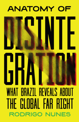 book cover for Anatomy of Disintegration