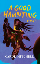 book cover for A Good Haunting