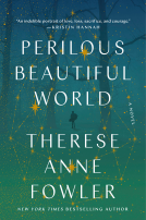 book cover for Perilous Beautiful World
