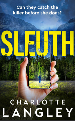 book cover for Sleuth