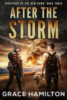 book cover for After the Storm