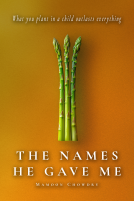 book cover for The Names He Gave Me