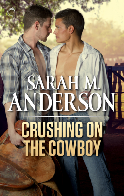 book cover for Crushing on the Cowboy