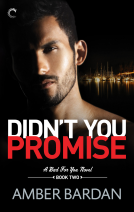 book cover for Didn't You Promise