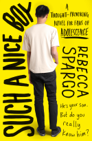 book cover for Such a Nice Boy