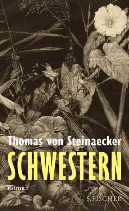 Buchcover für Schwestern