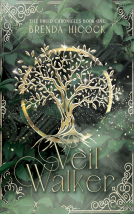 book cover for Veil Walker
