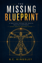 book cover for The Missing Blueprint