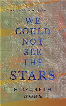 book cover for We Could Not See the Stars