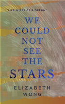 book cover for We Could Not See the Stars
