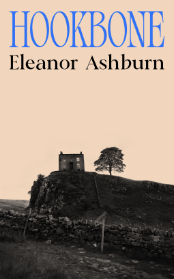 book cover for Hookbone