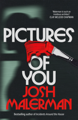 book cover for Pictures of You