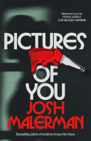 book cover for Pictures of You