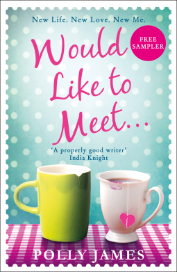 book cover for Would Like to Meet (free sampler)