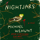 book cover for Nightjars