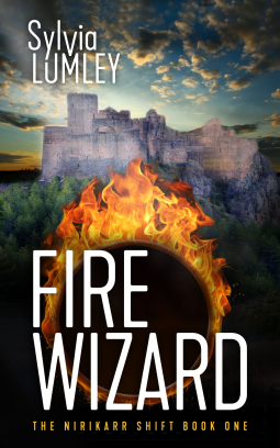 book cover for Fire Wizard