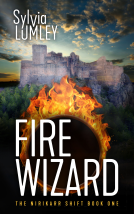 book cover for Fire Wizard