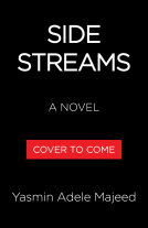 book cover for Side Streams