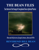 book cover for The Bean Files