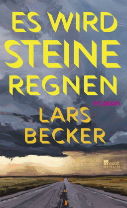 Buchcover für Es wird Steine regnen