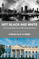 book cover for Not Black And White