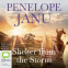 book cover for Shelter from the Storm