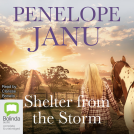 book cover for Shelter from the Storm