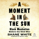 book cover for A Moment in the Sun
