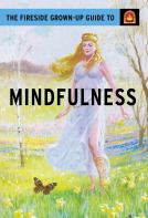 book cover for The Fireside Grown-Up Guide to Mindfulness
