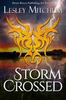 book cover for Storm Crossed