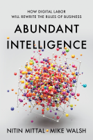 book cover for Abundant Intelligence