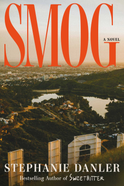 book cover for Smog