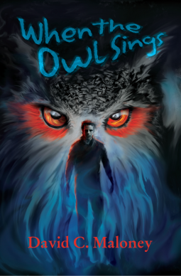 book cover for When the Owl Sings