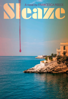 book cover for Sleaze