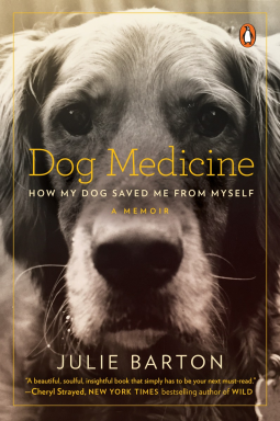 book cover for Dog Medicine