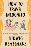 book cover for How To Travel Incognito