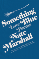 book cover for Something Blue