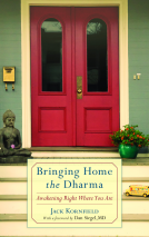 book cover for Bringing Home the Dharma