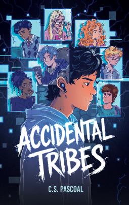 book cover for Accidental Tribes