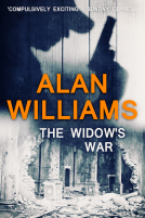 book cover for The Widow's War