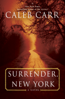 book cover for Surrender, New York