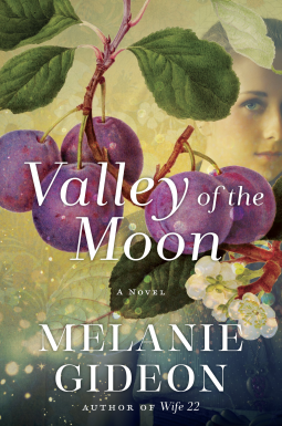 book cover for Valley of the Moon