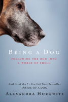 book cover for Being a Dog