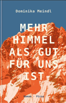 Buchcover für Mehr Himmel, als gut für uns ist