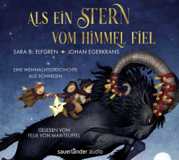 Buchcover für Als ein Stern vom Himmel fiel
