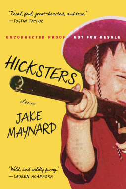 book cover for Hicksters