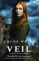 book cover for The Veil